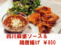 四川麻辣　唐揚げ.jpg